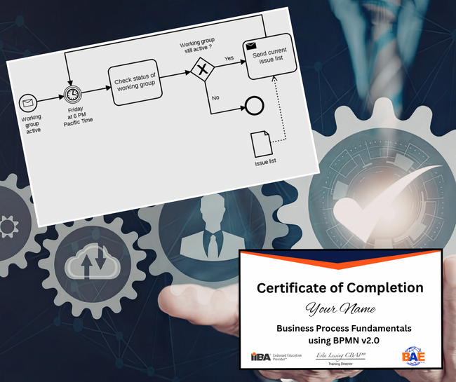 BUSINESS PROCESS FUNDAMENTALS USING BPMN v2.0 COURSE - EARN 21 PD HOURS/CDUs
