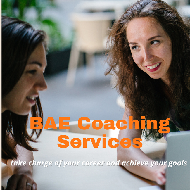 Business Analysis Coaching Service | Business Analysis Excellence