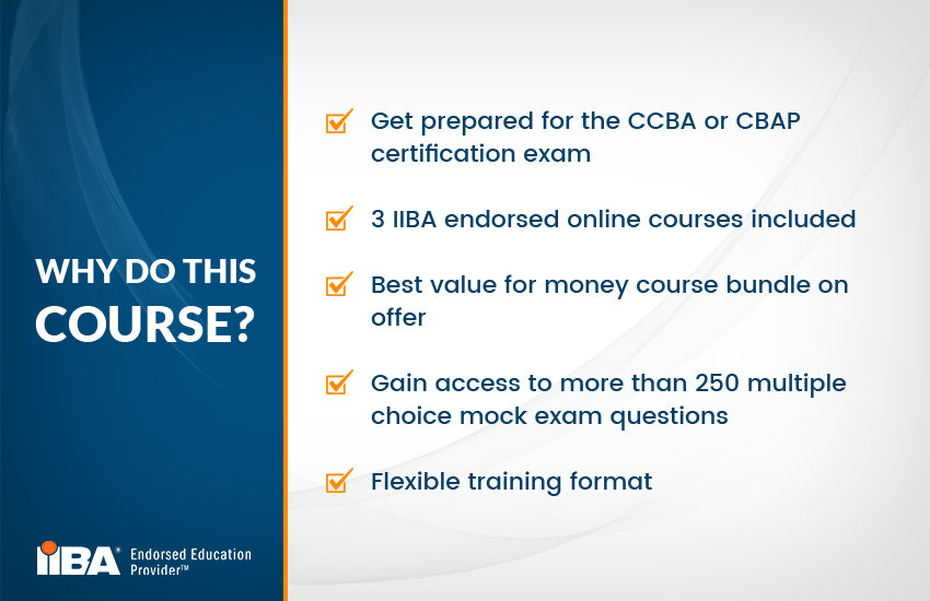 BAE Advanced Training Program | Business Analysis Excellence – Business ...